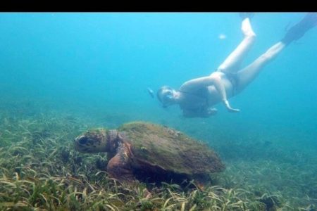 Private Snorkeling and Sightseeing Tour of Antigua
