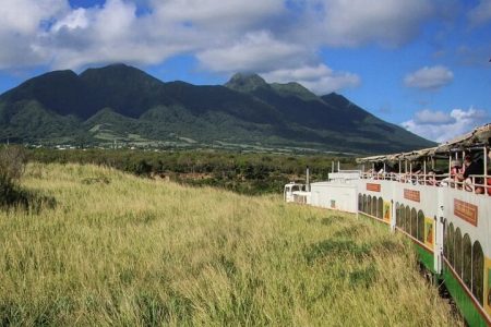 The Scenic Railway Sugar Train Experience